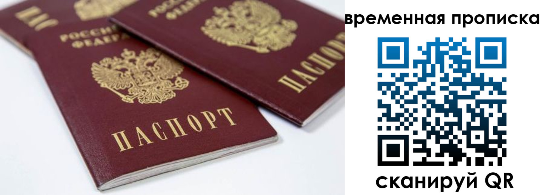 прописка для школы в Чапаевске